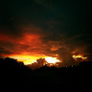 Meet your Posher, Herbalife